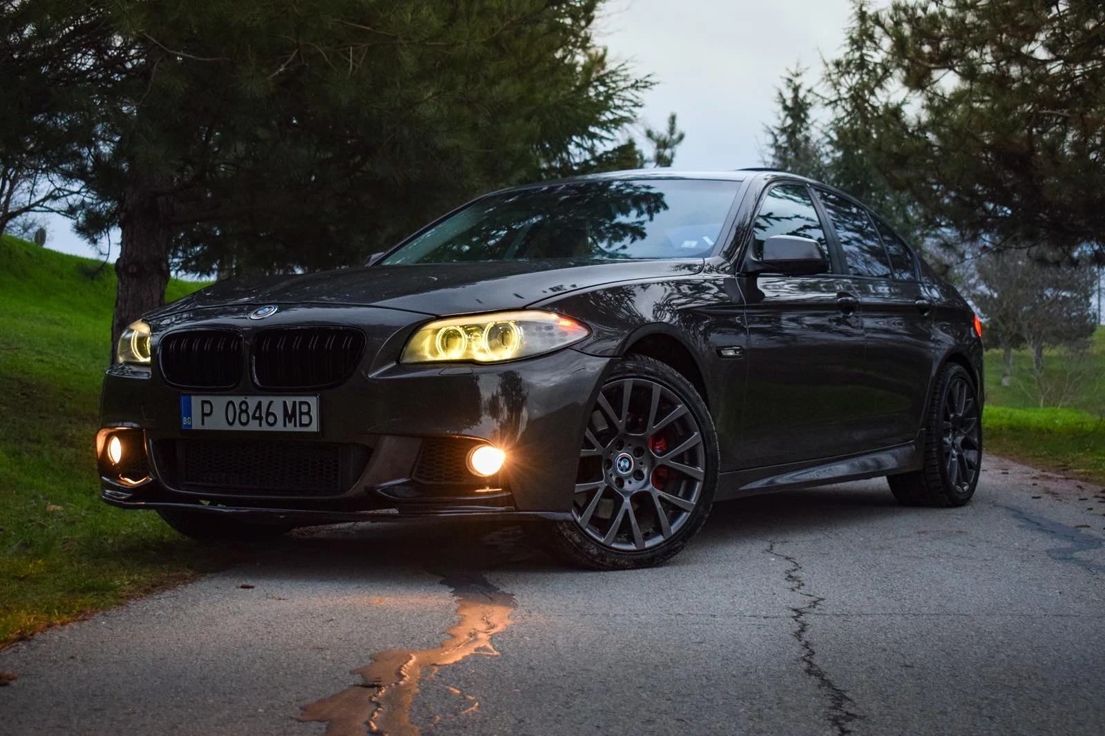 BMW 525 ПАМЕТ/ПОДГРЕВИ/LOGIC7/ШИБИДАХ - изображение 2