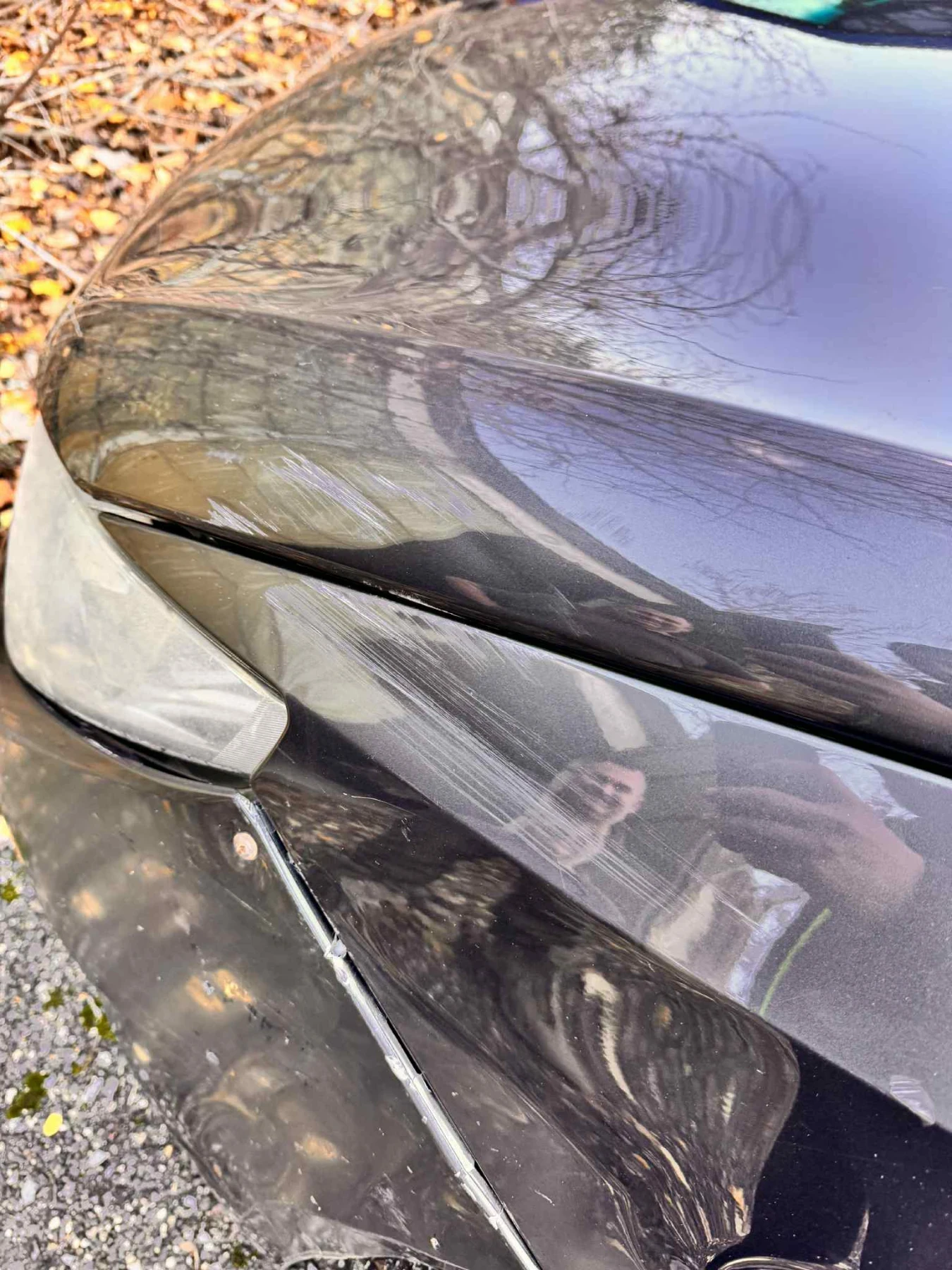 Seat Ibiza 1.4 mpi | Mobile.bg � ����������� 14