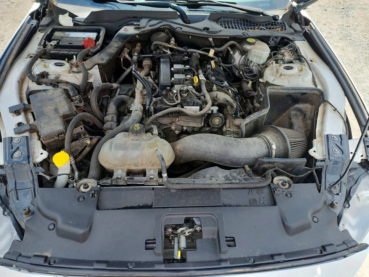 Ford Mustang, снимка 11 - Автомобили и джипове - 55752022