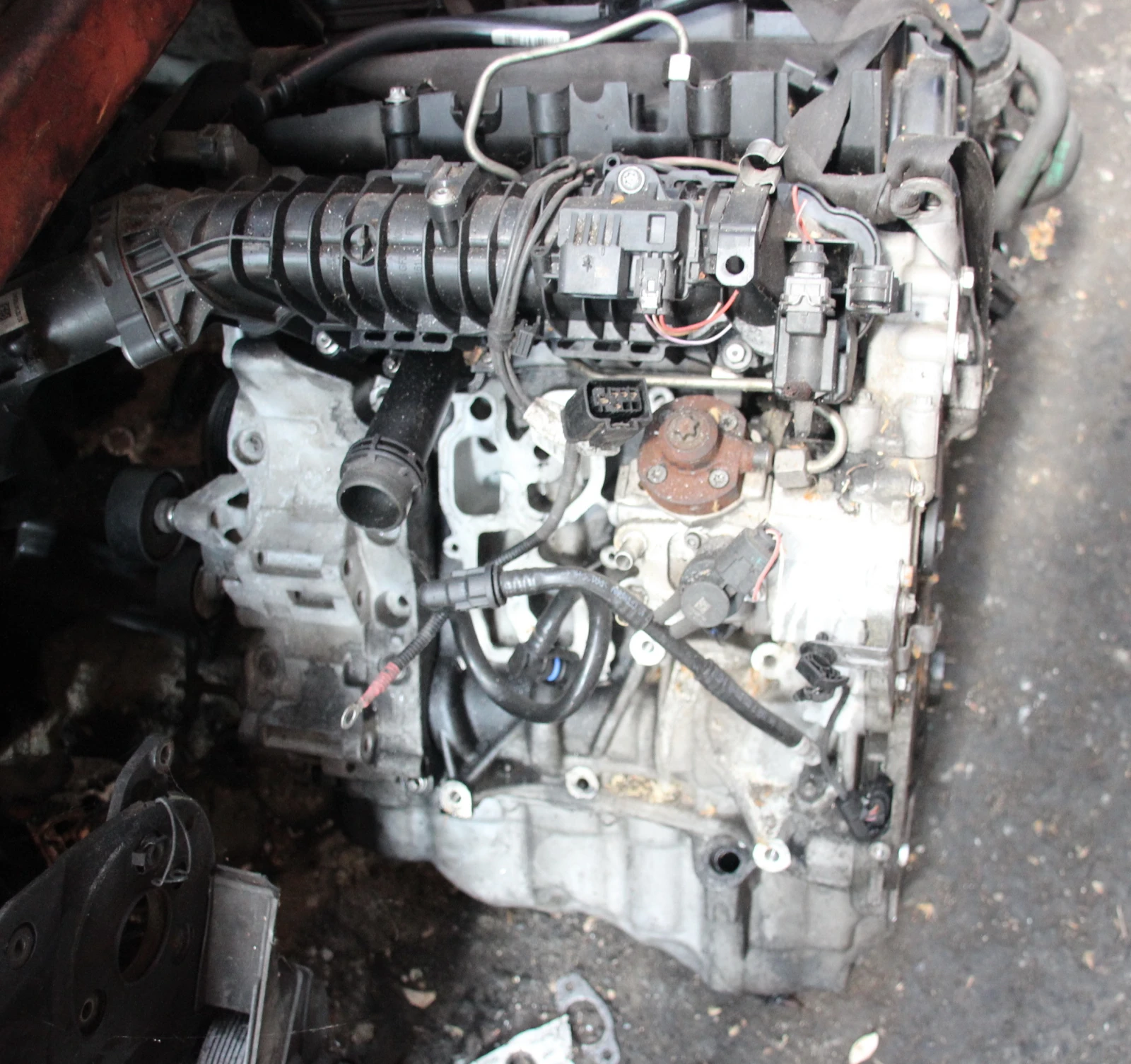    320i, F51, 2019 . BMW   | Mobile.bg   1