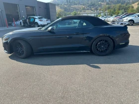 Ford Mustang EcoBoost Premium* CARFAX*   *  | Mobile.bg    3