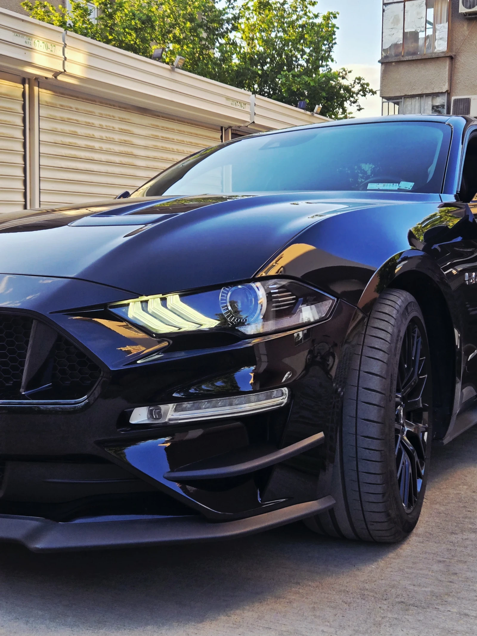 Ford Mustang GT V8 BLACK SHADOW EDITION - изображение 4