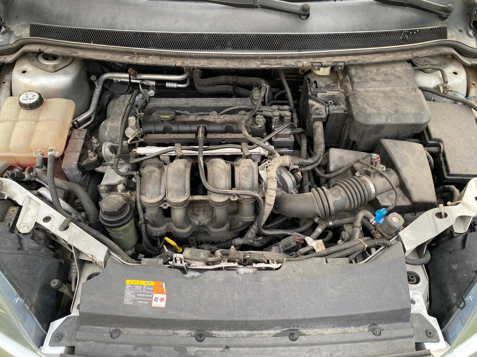 Ford Focus 1.6i | Mobile.bg   12