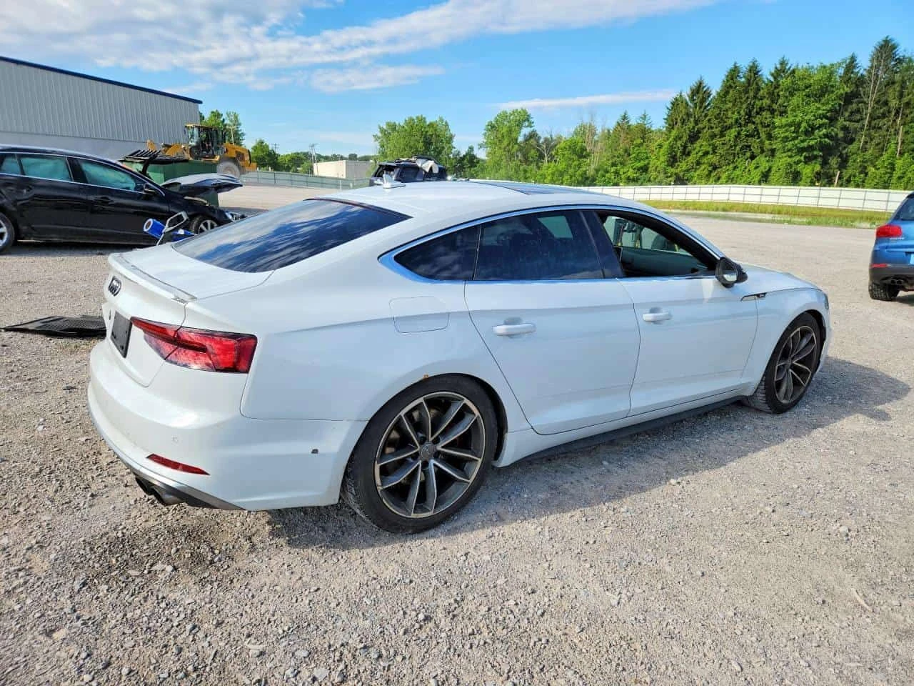 Audi S5 /CARFAX/ЗАСТРАХОВАТЕЛ/ЦЕНА ДО БГ , снимка 3 - Автомобили и джипове - 55259219