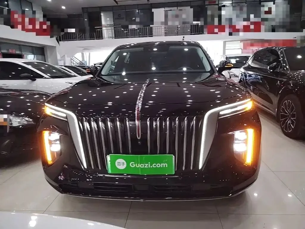 HongQi E-HS9 | Mobile.bg � ����������� 5
