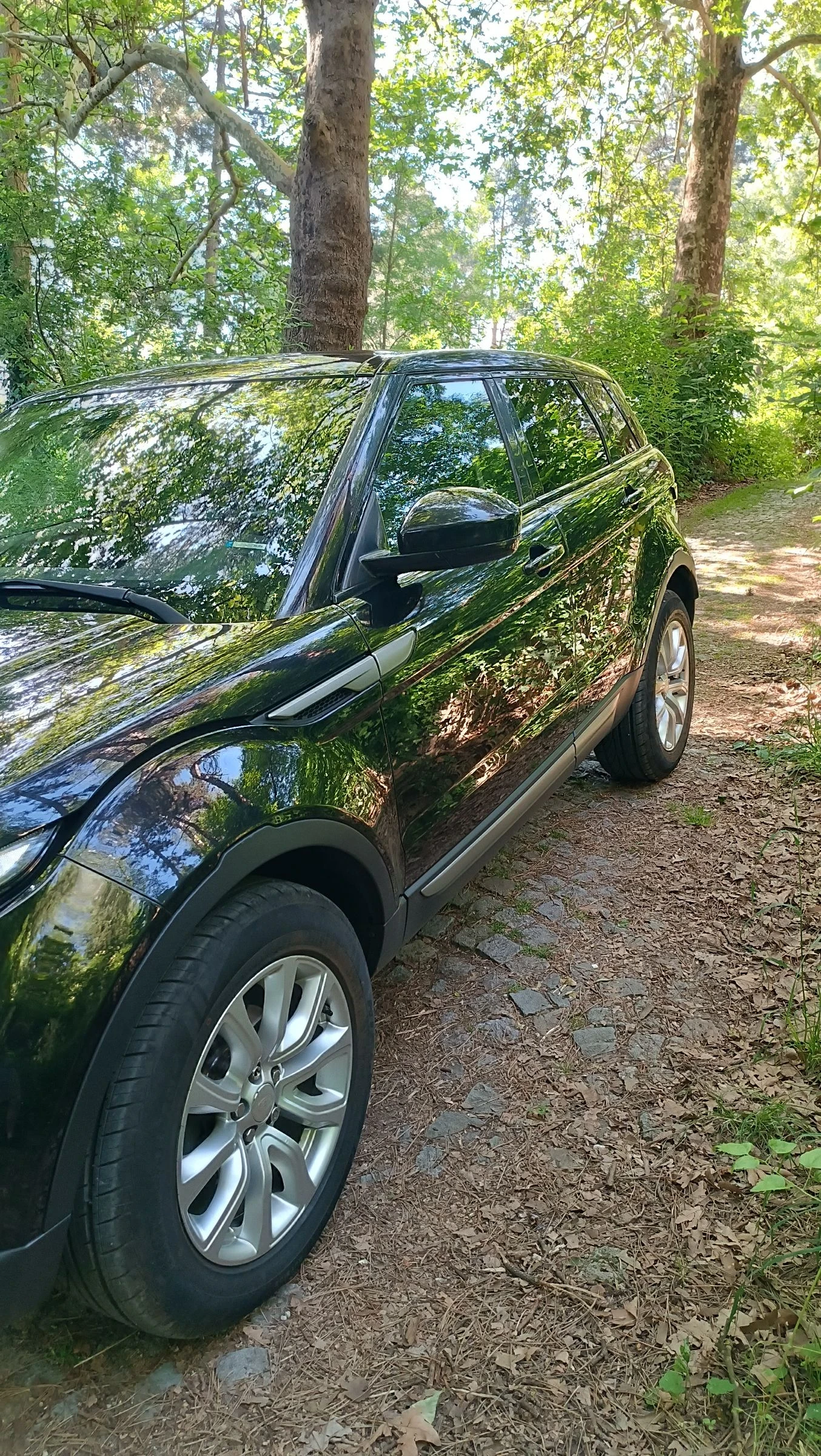 Land Rover Evoque 2.2TD4 4x4 - изображение 3