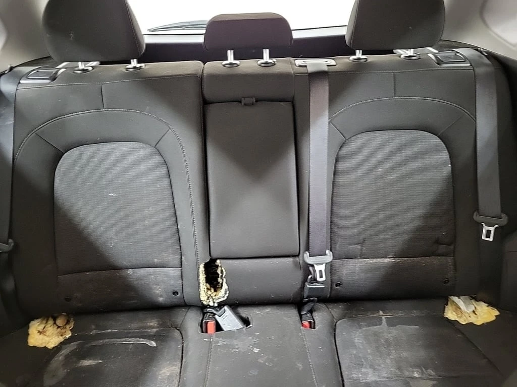 Hyundai Kona * PREFERRED * CARFAX * ���� �� �������� | Mobile.bg � ����������� 12