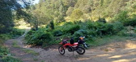 Honda Crf 300L, снимка 2
