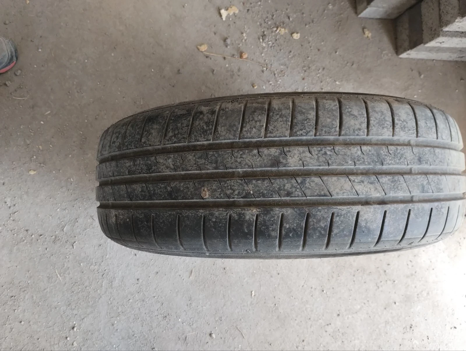 ���� � ������ 205/55R16 �� Skoda Octavia | Mobile.bg � ����������� 3