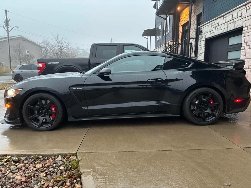 Ford Mustang * Shelby * CARFAX *    | Mobile.bg   2