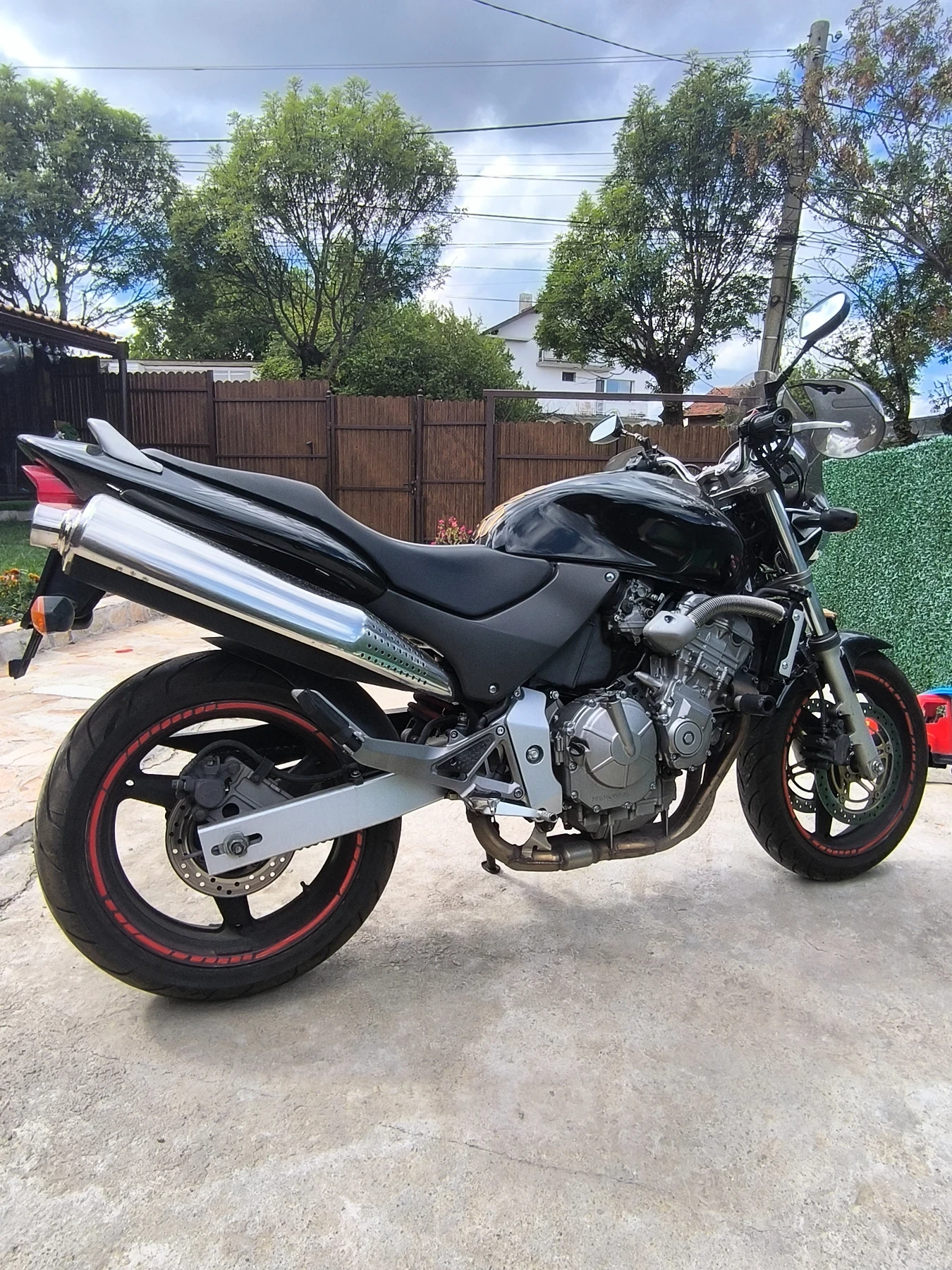 Honda Hornet