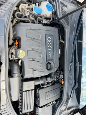 Audi A3 1.6TDI 105k NAVI TOP, снимка 8