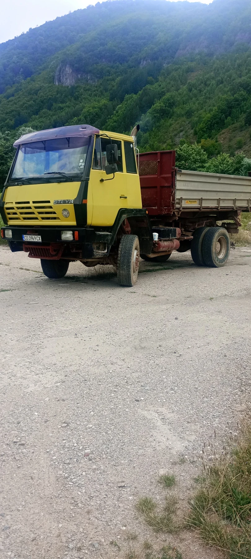 Steyr 19, снимка 2 - Камиони - 55408824