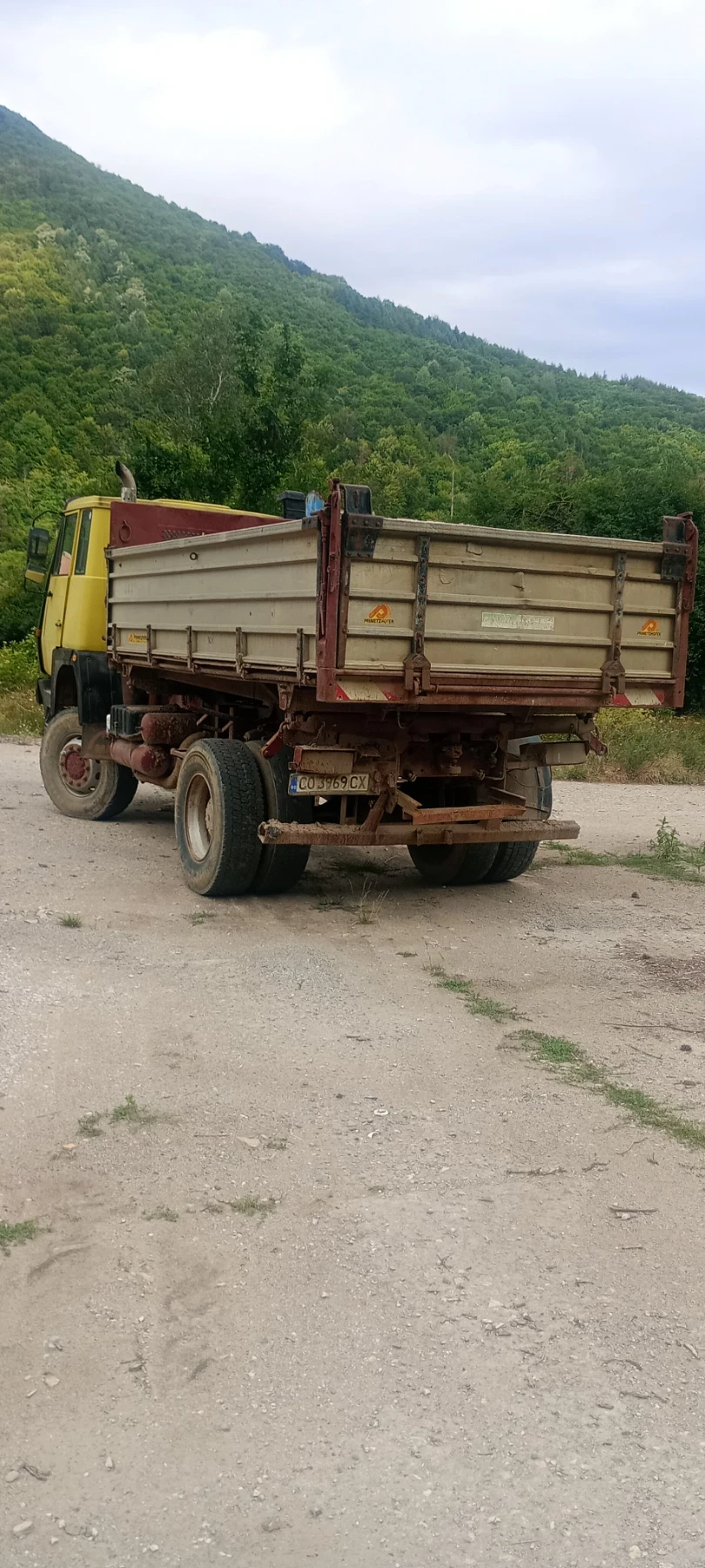 Steyr 19, снимка 4 - Камиони - 55408824