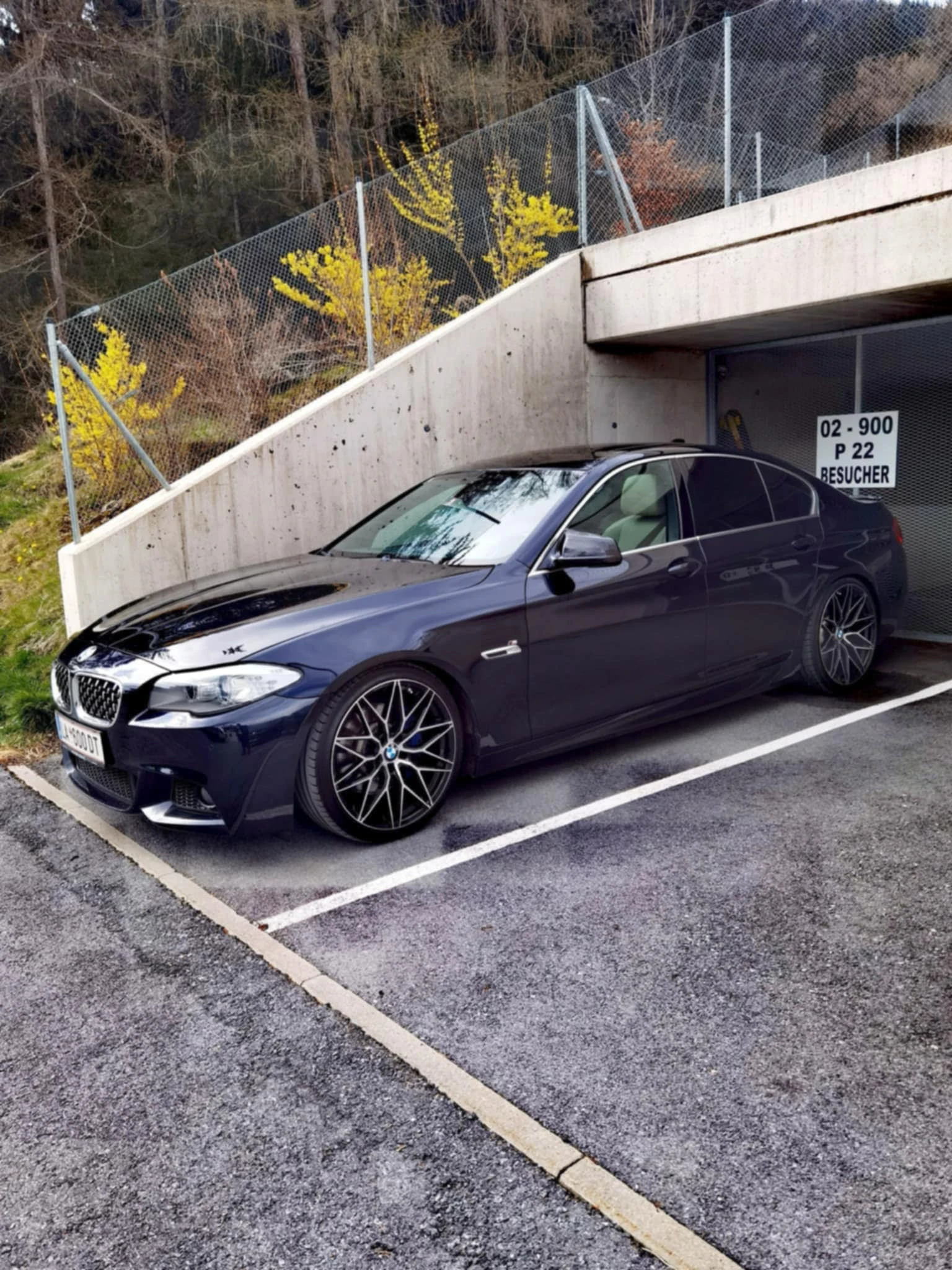 BMW 525 F10 3.0d 306 ps - изображение 2