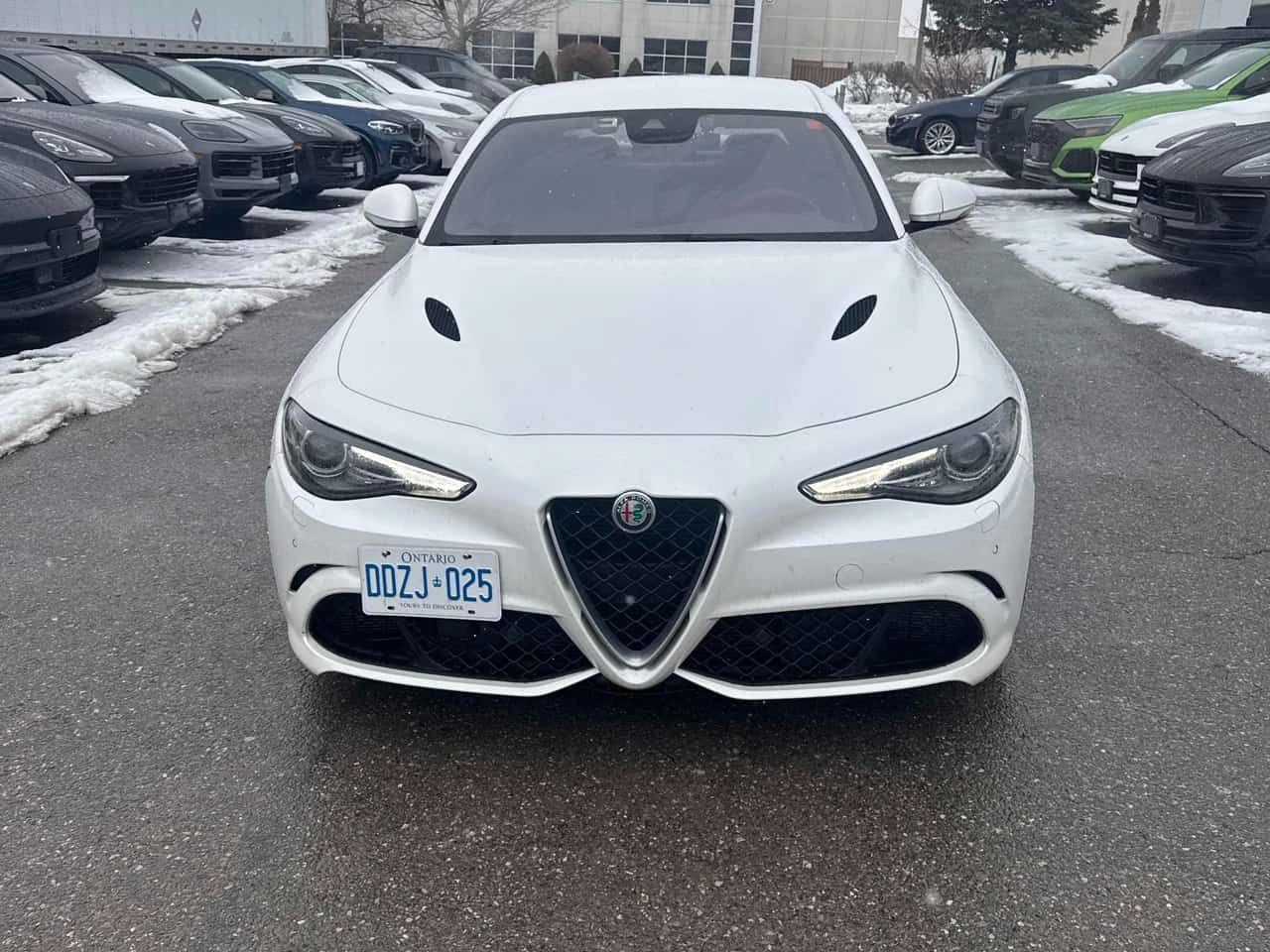 Alfa Romeo Giulia * Quadrifoglio * NAVI * ПОДГРЕВИ * ПАМЕТ, снимка 6 - Автомобили и джипове - 54585874
