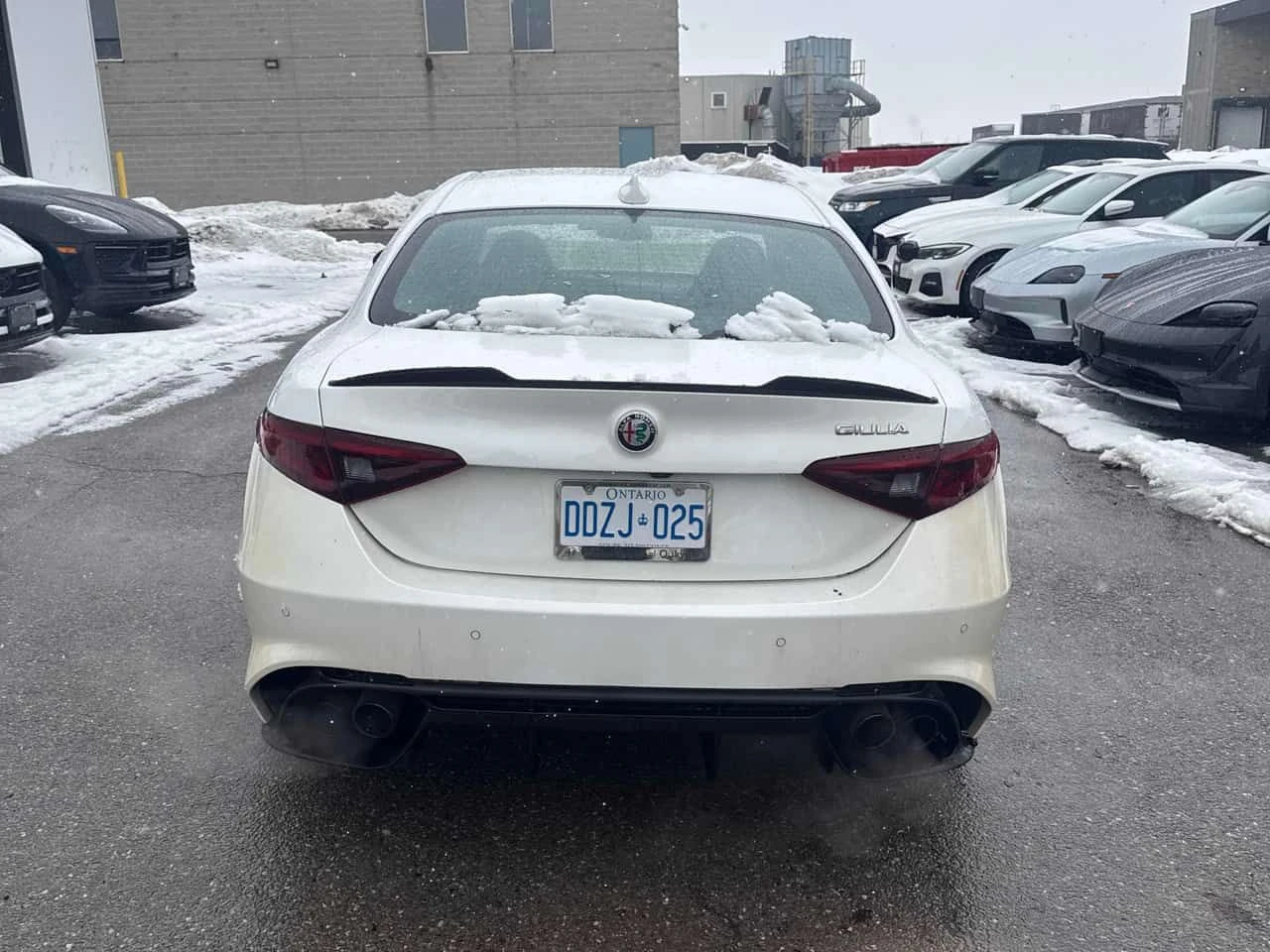 Alfa Romeo Giulia * Quadrifoglio * NAVI * ПОДГРЕВИ * ПАМЕТ, снимка 4 - Автомобили и джипове - 54585874