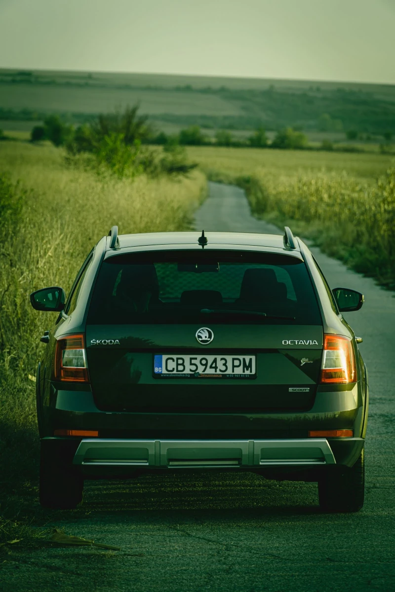 Skoda Octavia 2.0 TDI Scout DSG6 4x4, снимка 6 - Автомобили и джипове - 52354795
