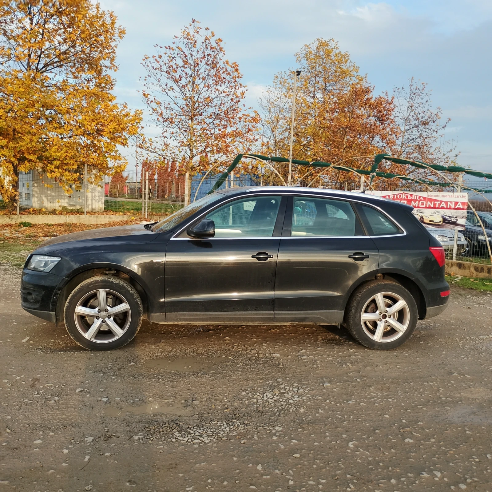 Audi Q5 S line  | Mobile.bg   2
