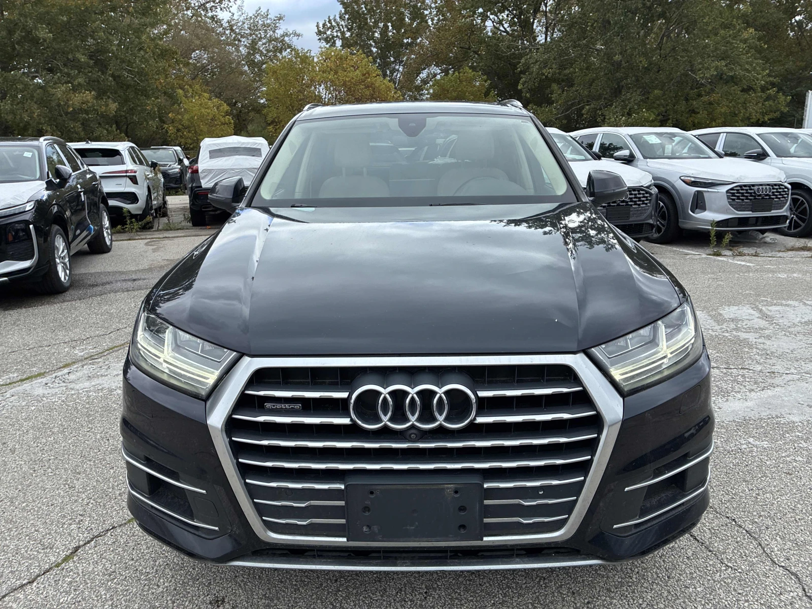 Audi Q7 3.0T Technik / 360 / Bose / Carfax / ������ | Mobile.bg � ����������� 6