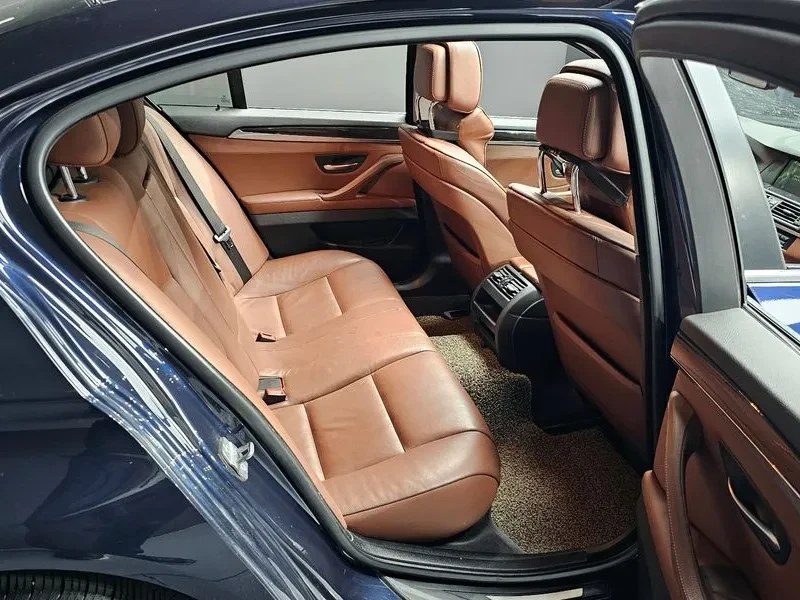 BMW 520 d, снимка 11 - Автомобили и джипове - 53034332