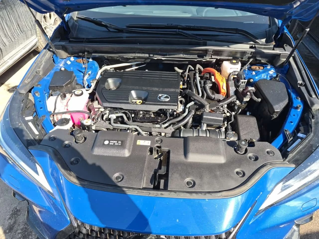 Lexus NX 350H  CARFAX, снимка 16 - Автомобили и джипове - 54377188