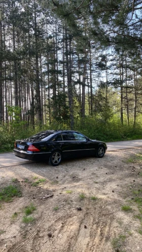 Mercedes-Benz S 320, снимка 8