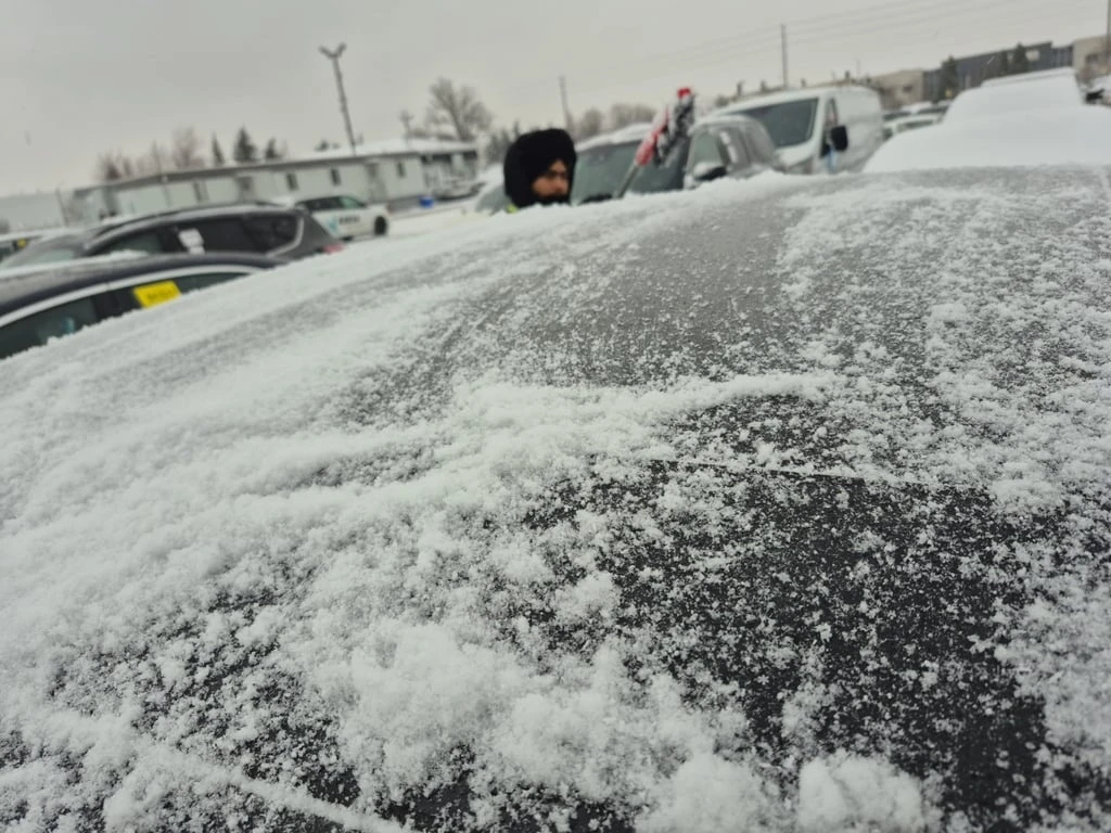 VW Jetta * EXECLINE * CARFAX * ���� �� �� | Mobile.bg � ����������� 16