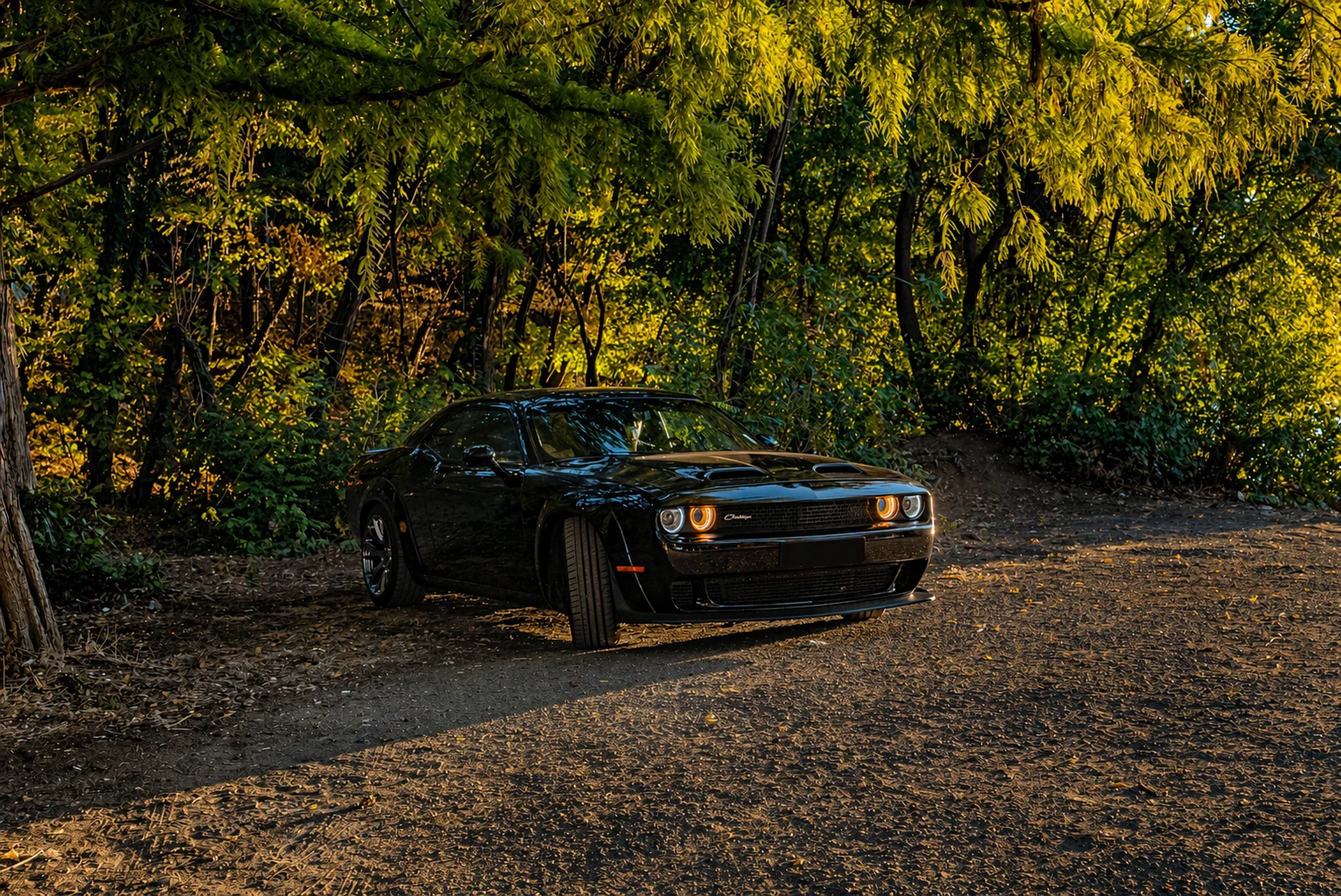 Dodge Challenger R/T, снимка 7 - Автомобили и джипове - 54263011