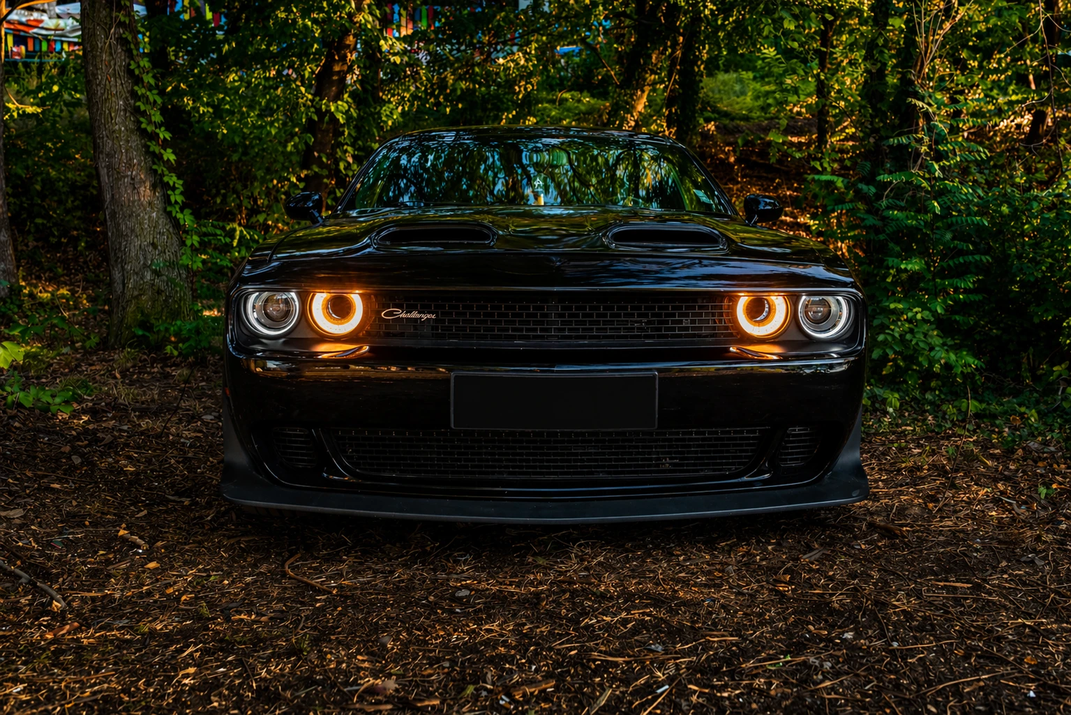 Dodge Challenger R/T, снимка 8 - Автомобили и джипове - 54263011