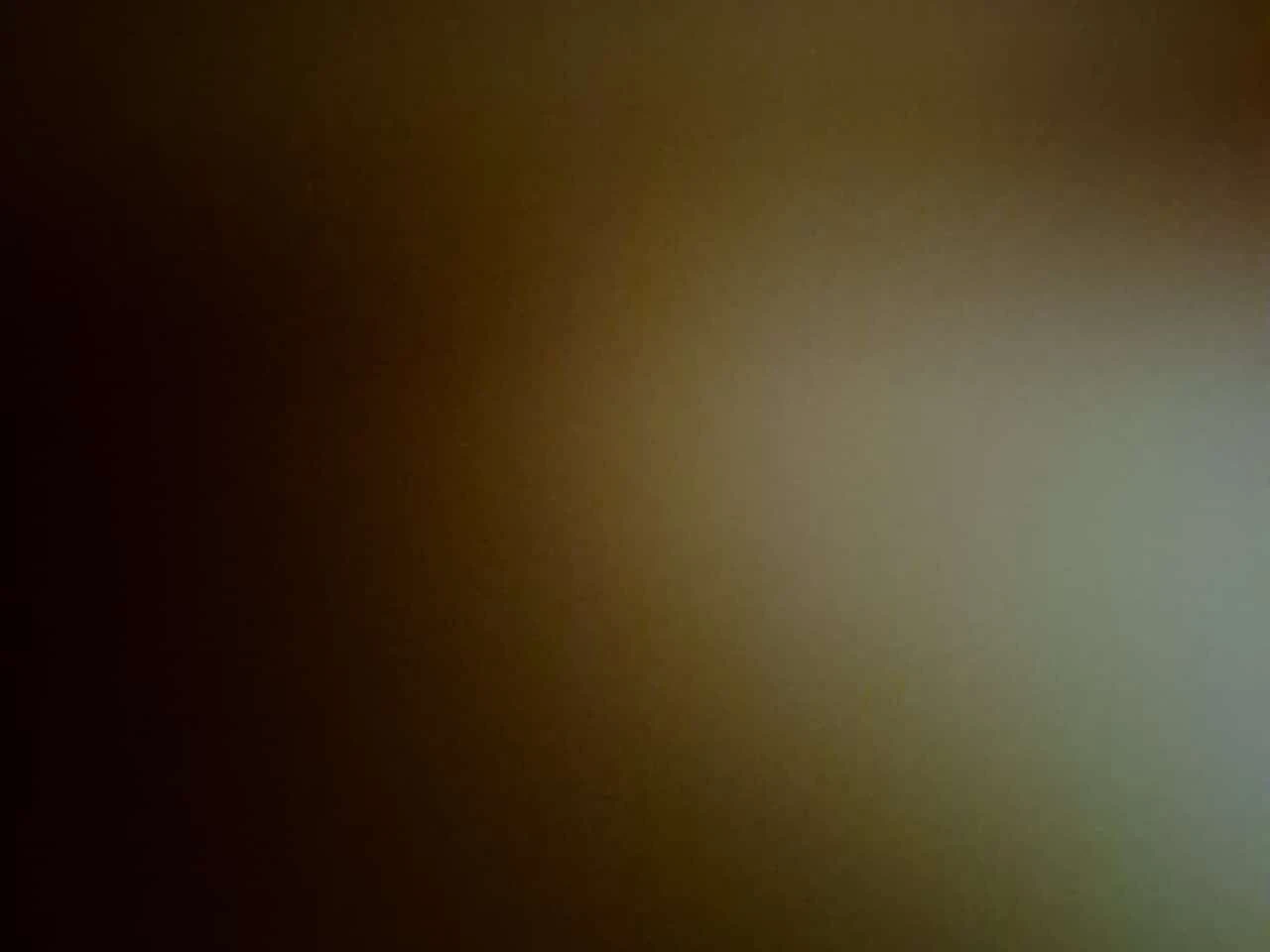 Chevrolet Bolt PREMIER  CARFAX | Mobile.bg � ����������� 14