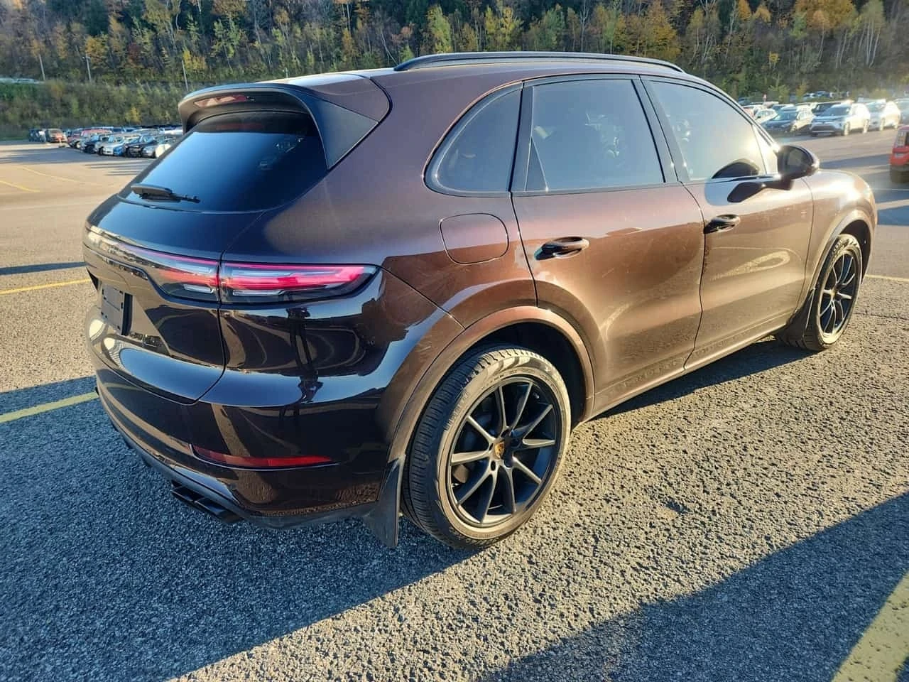 Porsche Cayenne AWD/CARFAX/�����/����/�������/����������� | Mobile.bg � ����������� 2