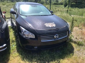 ������ Nissan Maxima