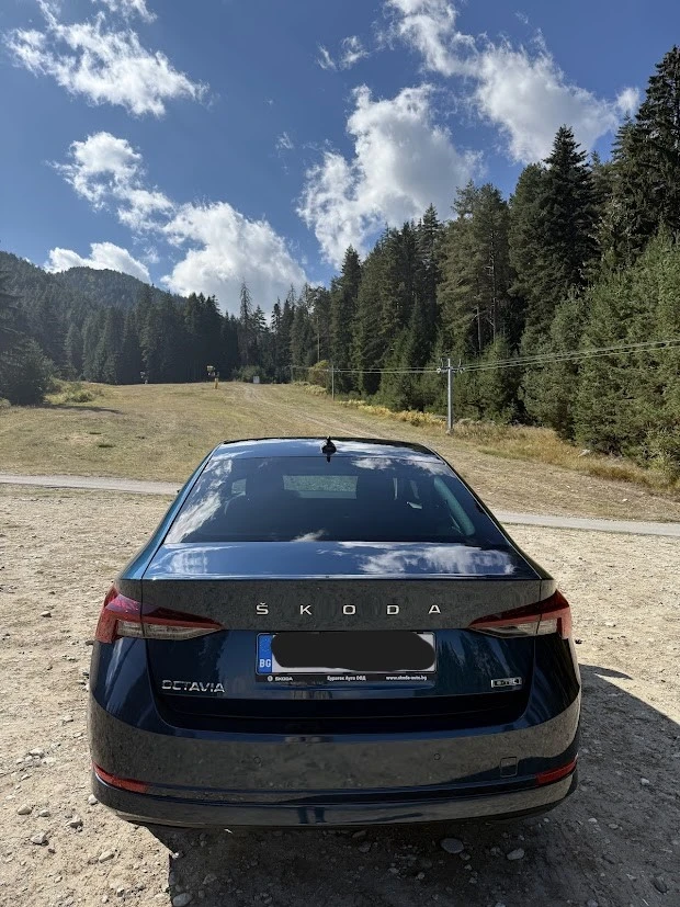 Skoda Octavia 1.5 TSI, m-HEV, 7 DSG, Edition - изображение 5