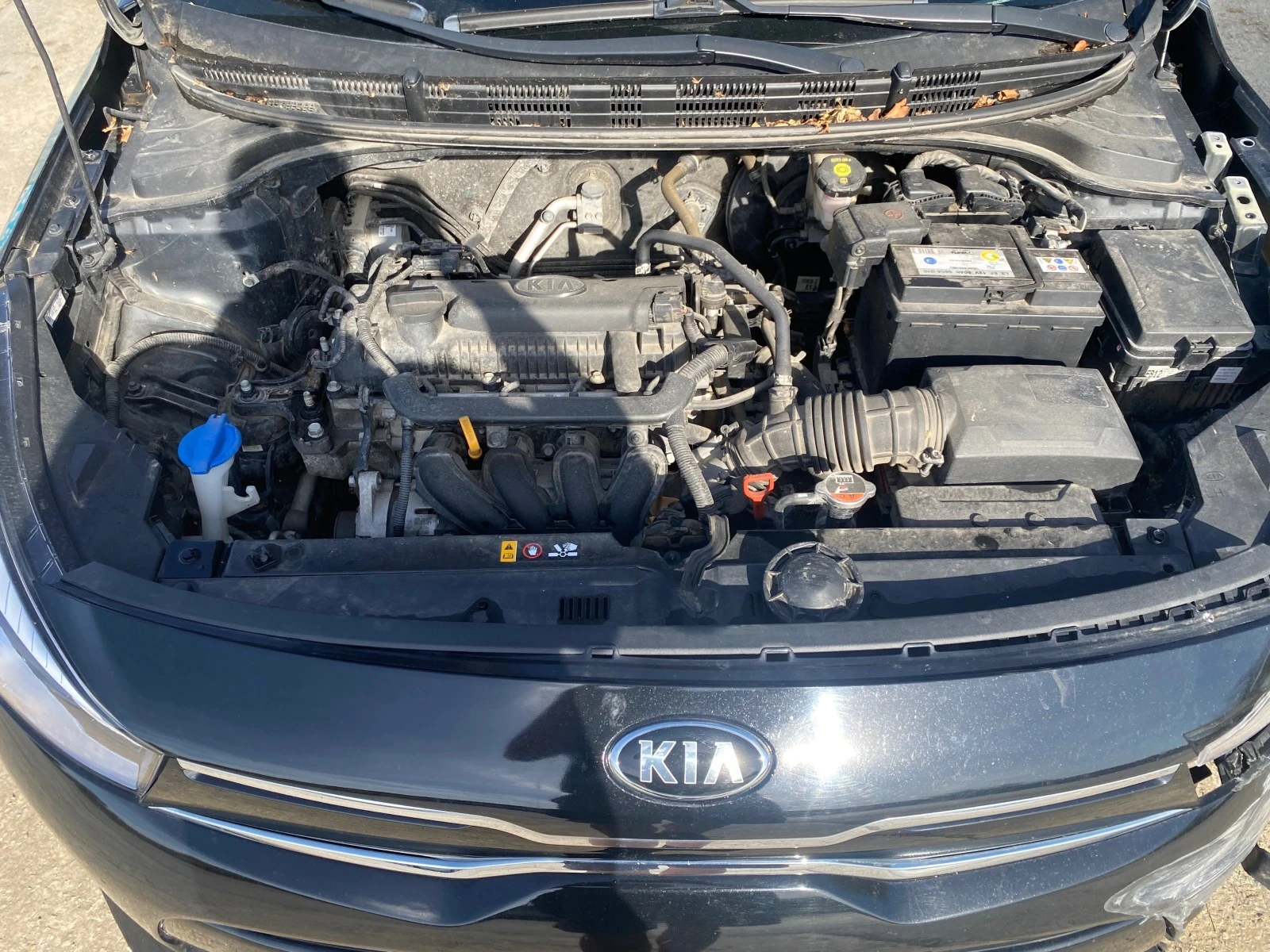 Kia Rio 1.4 automatic | Mobile.bg   13