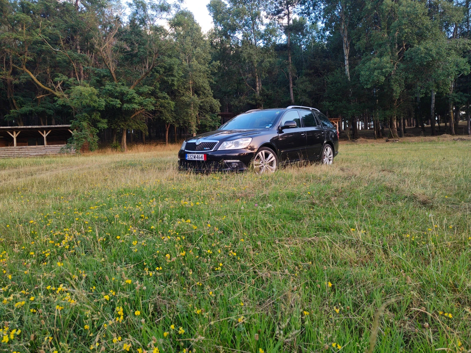 Skoda Octavia 2.0 tdi VRS | Mobile.bg   1