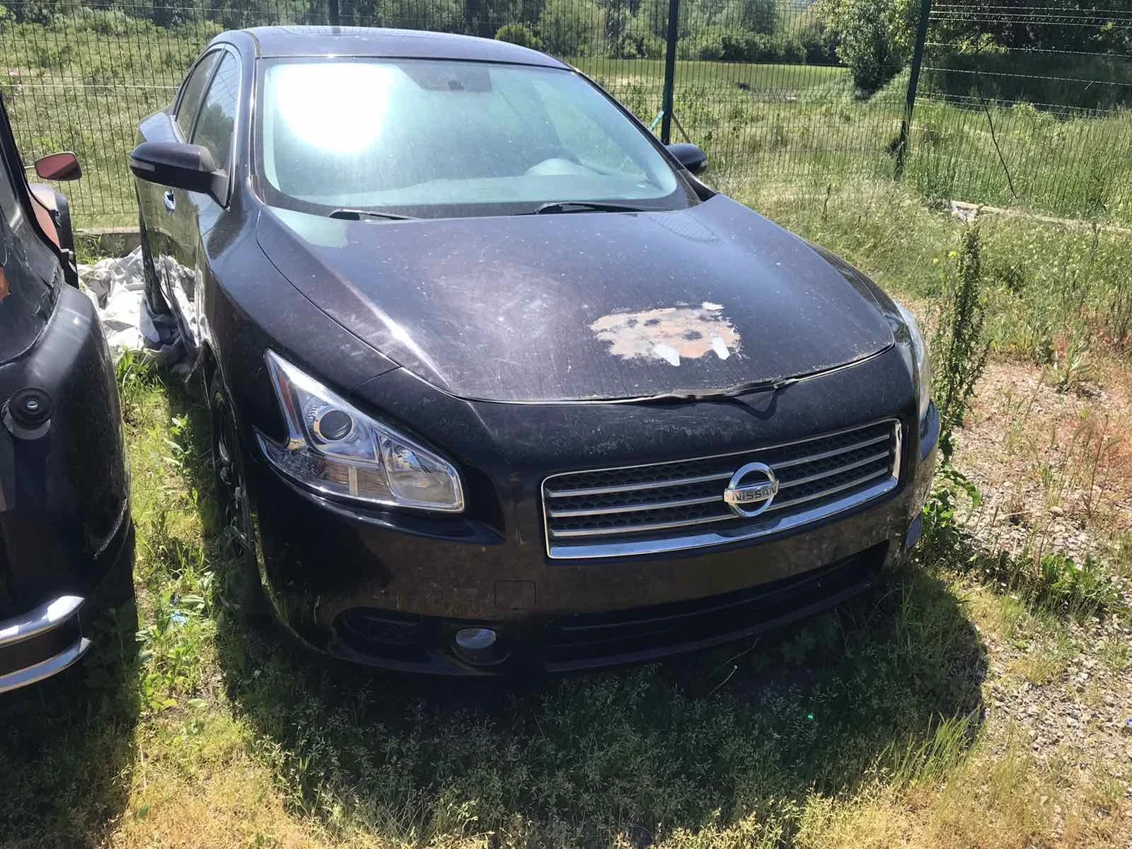 Nissan Maxima 3.5 v6 2014 | Mobile.bg � ����������� 1