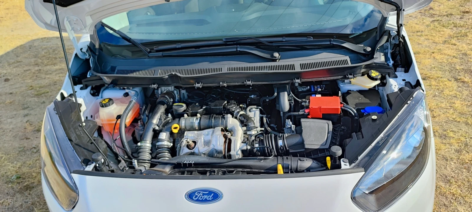 Ford Courier 1.5 TDCI Trend,  | Mobile.bg   14