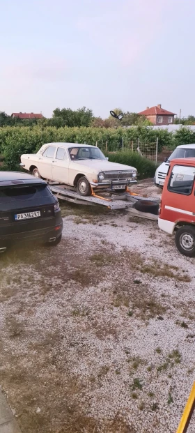     Volga 24