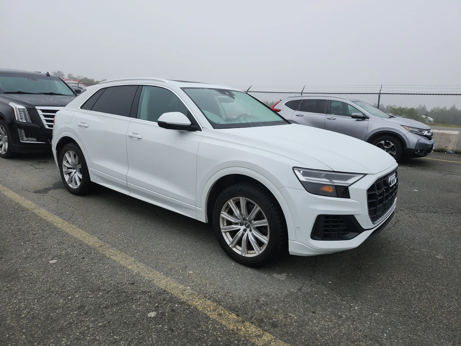 Audi Q8  55 TFSI quattro Progressiv | 2019 | 106 612 км , снимка 2 - Автомобили и джипове - 55981884