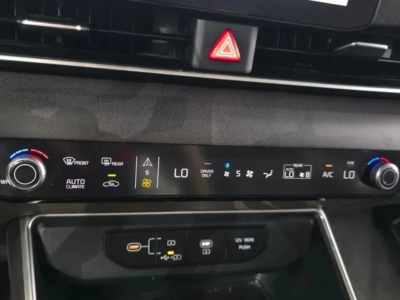 Kia Carnival, снимка 17 - Автомобили и джипове - 56719994