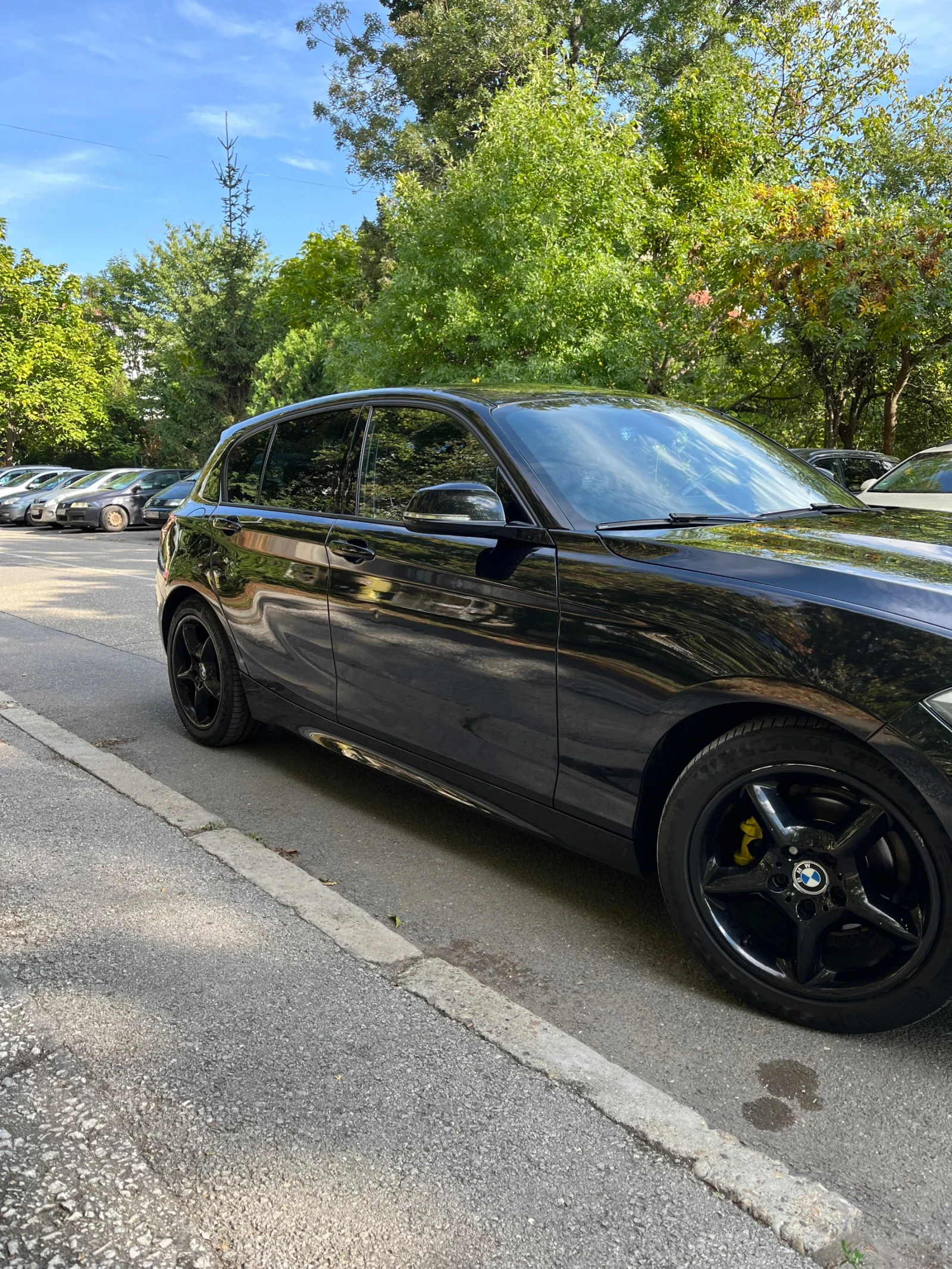 BMW 116 116i 136 hp - изображение 3