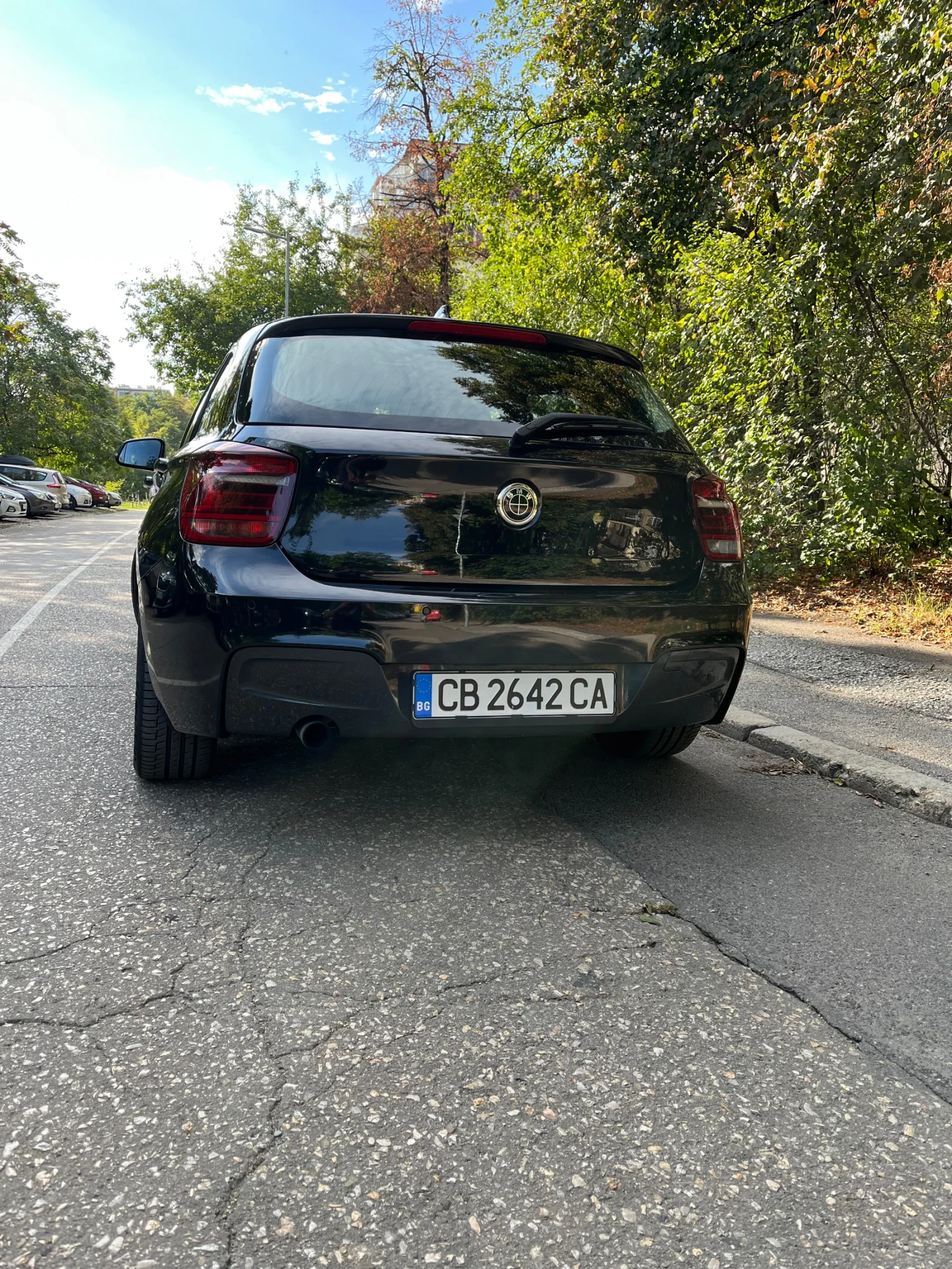 BMW 116 116i 136 hp - изображение 6