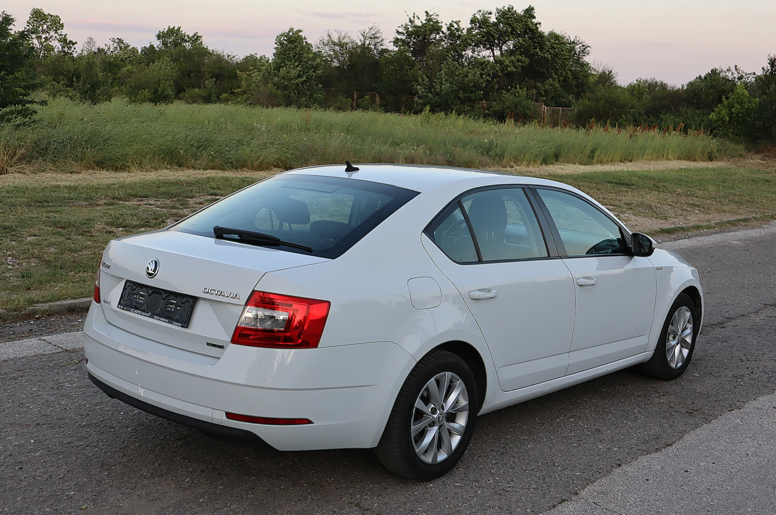 Skoda Octavia + ГАЗ 1.4TGI Executive - изображение 4