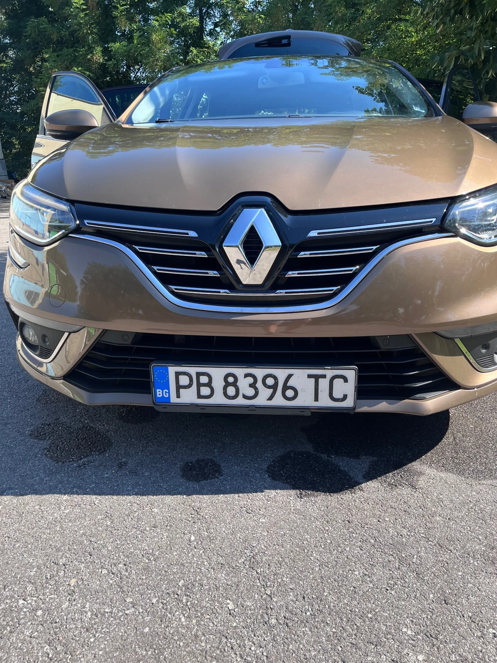 Renault Megane, снимка 4 - Автомобили и джипове - 55610381