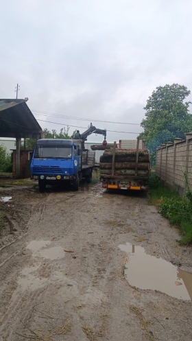 Steyr 22s31 19s31, снимка 2