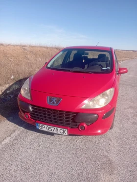 Peugeot 307 1.4-Газ, снимка 1