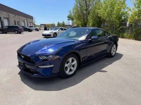 ������ Ford Mustang