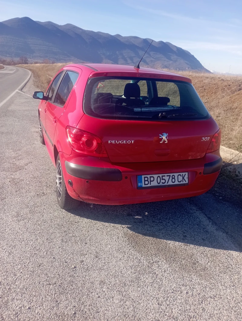 Peugeot 307 1.4-Газ, снимка 6 - Автомобили и джипове - 48086813