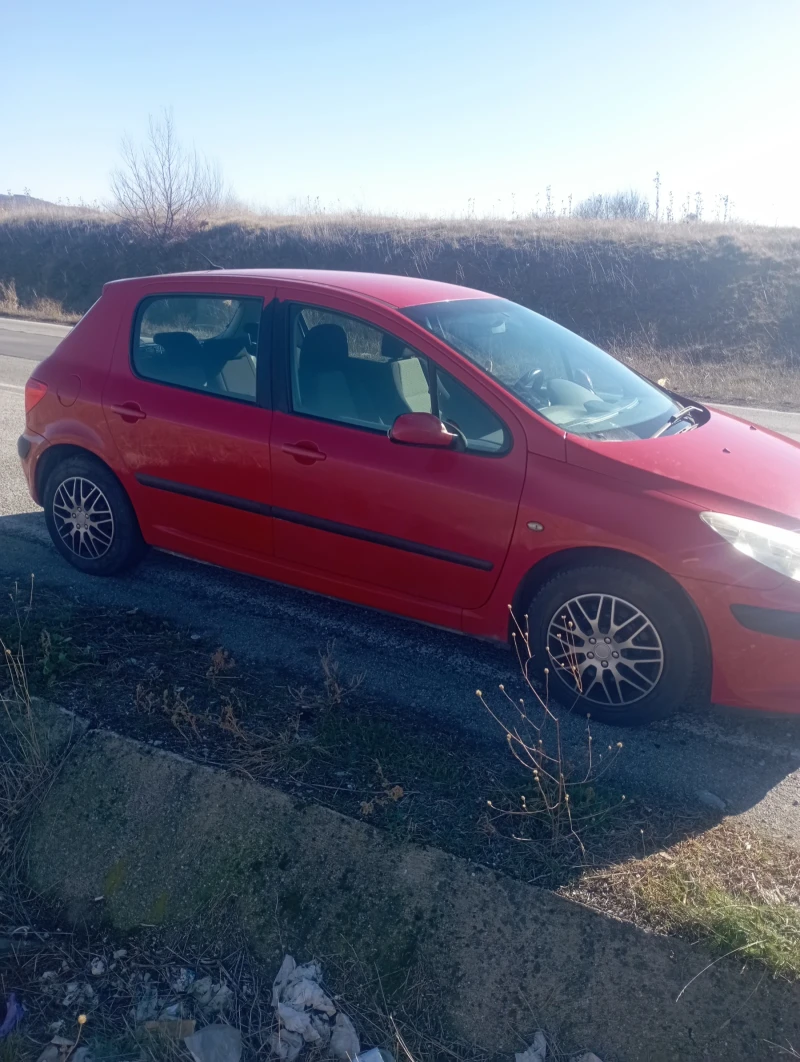 Peugeot 307 1.4-Газ, снимка 4 - Автомобили и джипове - 48086813